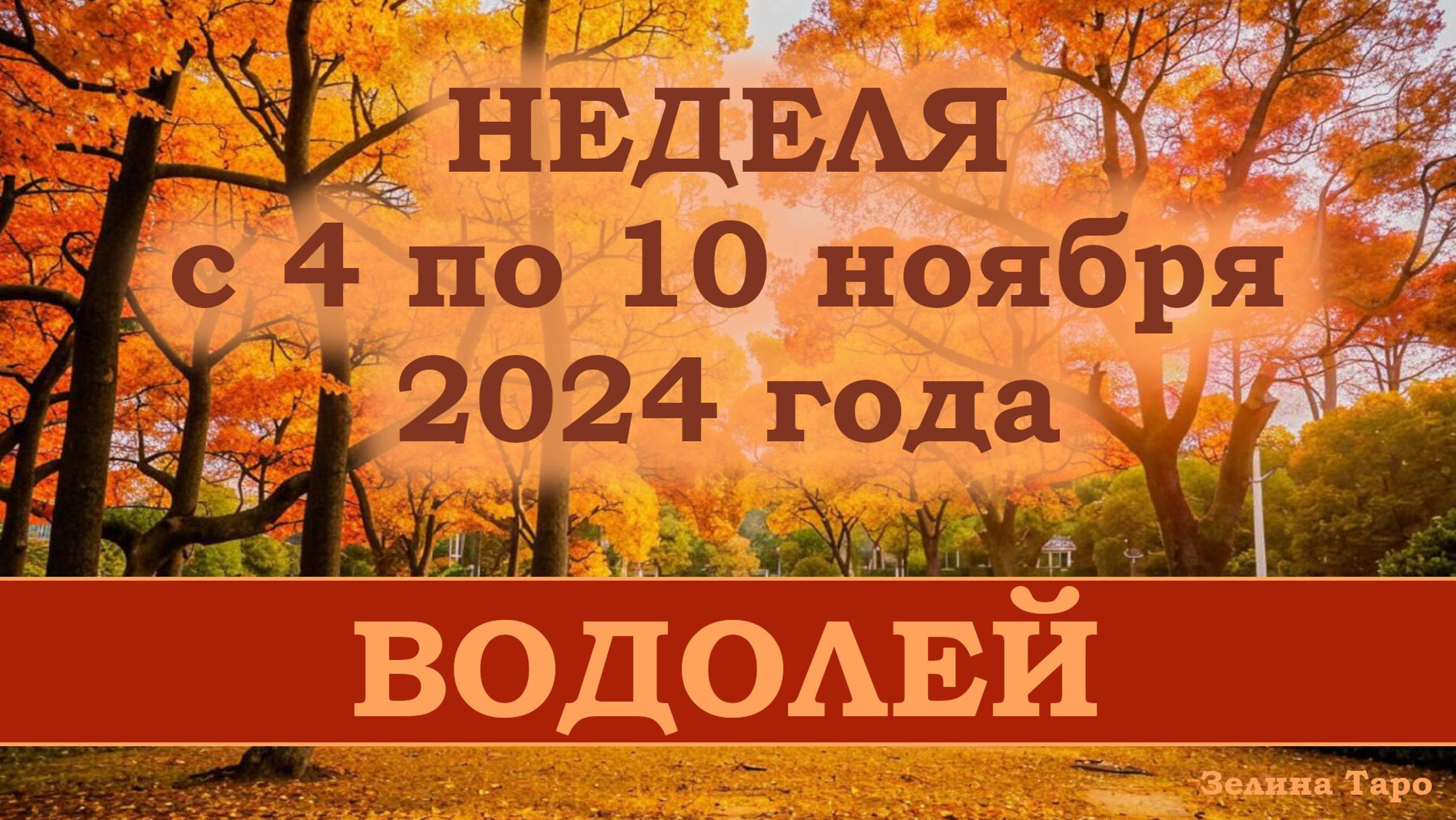 ВОДОЛЕЙ | Таро прогноз на неделю с 4 по 10 ноября 2024 года
