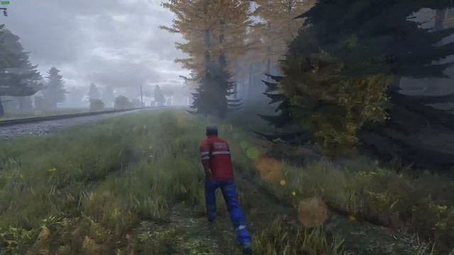 DayZ | GTX 1080 & Core i7-7700k | Max Settings | 60 FPS Recording смотреть онлайн