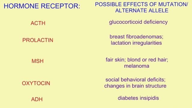 HORMONE RECEPTOR SONG смотреть онлайн
