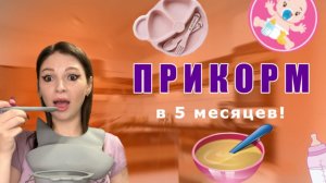 Прикорм в 5 месяцев! || Как кормить ребёнка в возрасте 5 месяцев?