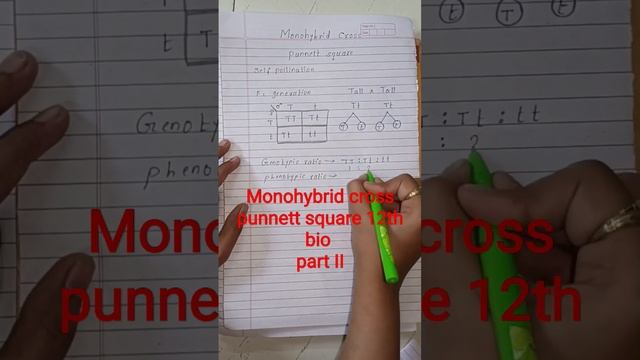 part II Monohybrid cross punnett square смотреть онлайн