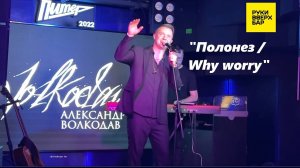 «Полонез / Why worry»- исп. Александр Волкодав, Питер, РУКИ ВВЕРХ бар, 2024 #александрволкодав #хит