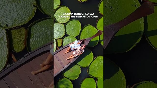 Пиши, что вышло)) #klykovshorts #семья #продюсер #love #жена #муж #любовь #family смотреть онлайн