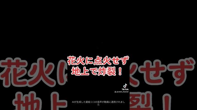 土浦花火競技大会で不発の花火が地上で炸裂！あわや大惨事 смотреть онлайн