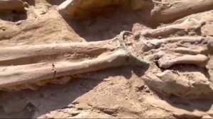 Древние Скифы