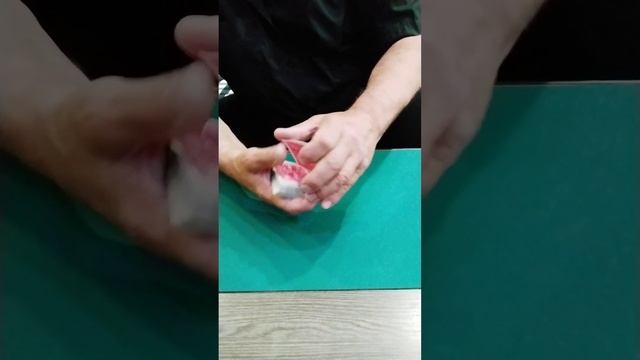 сменка прокруткой. обучение смотреть онлайн