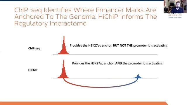 Life after ChIP-seq: genome conformation enhances our view of the regulatory landscape смотреть онлайн