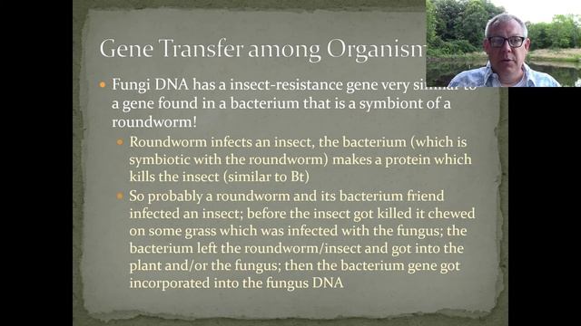 Zoology Lecture 15 - Genetic Control, Transfer, and Screening смотреть онлайн