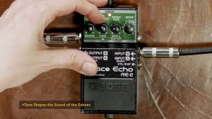BOSS RE-2 Space Echo Demo - All Playing, No Talking