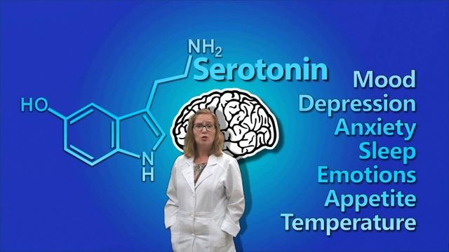 Neurotransmitters And Their Functions Dopamine, Glutamate, Serotonin, Norepinephrine, Epinephrine смотреть онлайн