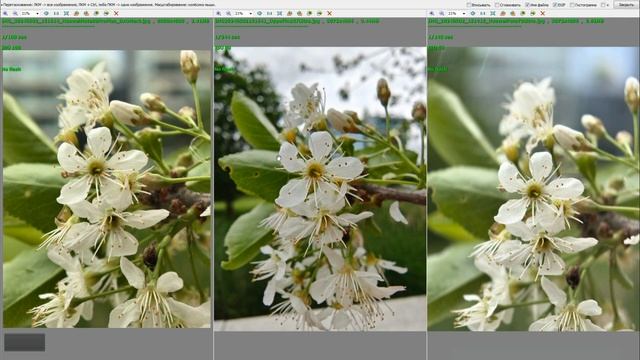 Huawei Pure70 Ultra - #1 DxOmark, так ли это?