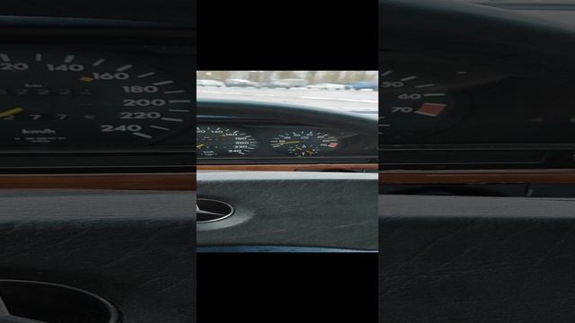 1000157331.mp4 смотреть онлайн