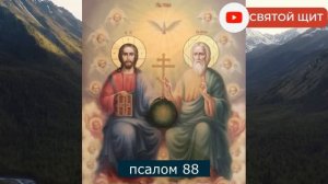 ВОЗВРАТ БОЛЕЗНЕЙ "ПОРЧЕЛЬНИКУ"