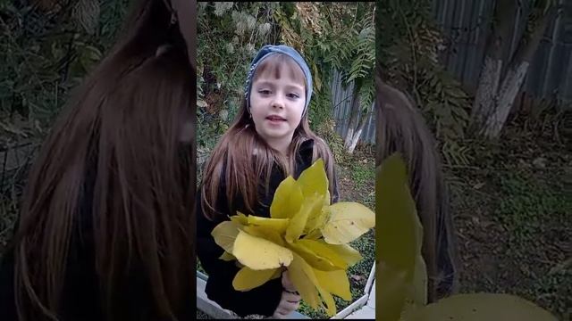 Акция "За СВОих" смотреть онлайн