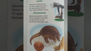 Животные и птицы Северной и Южной Америки. Стихи Владимира Степанова. Звуки животных и птиц #стихи