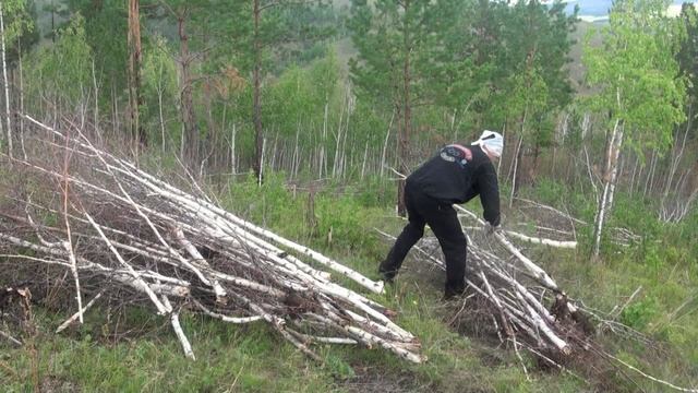Генеральная уборка на сопке смотреть онлайн