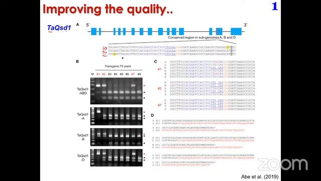 BIIS-12 Day 19 CRISPR genome editing: An overview смотреть онлайн