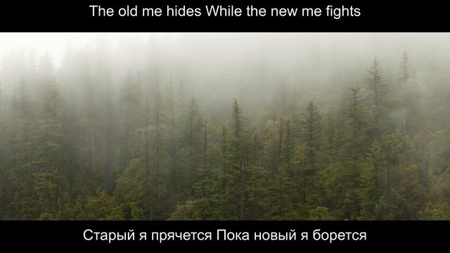 David Kushner - Mr. Forgettable (Lyrics) перевод песни на русский язык смотреть онлайн