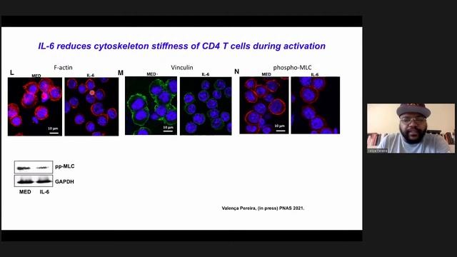 Non-canonical IL-6 signaling regulates CD4 cell motility смотреть онлайн