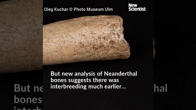 Neanderthal DNA is rewriting the story of human evolution смотреть онлайн