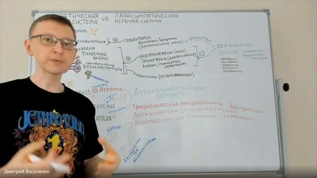 Симпатическая и парасимпатическая нервная система смотреть онлайн