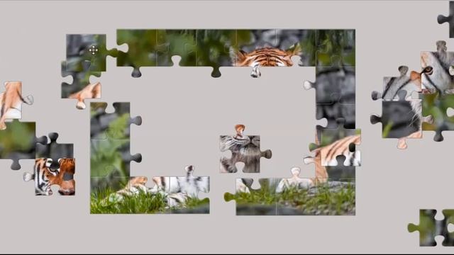 Amur Tiger puzzle game 13+ смотреть онлайн