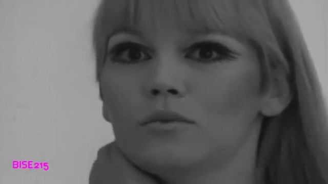 Amanda Lear Chanel , Dior, Louboutin, Mannequin, Cover Girl Givenchy