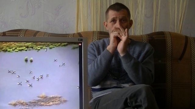 Андрей Кетнер - Применение звуков на охоте смотреть онлайн