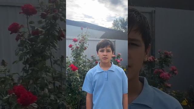 VID-20241103-WA0003 смотреть онлайн