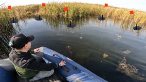 Не успел расставить Жерлицы.. А ТУТ!? Я сам не ожидал такого результата! Рыбалка осенью 2024.