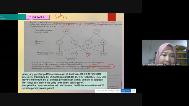 Faktor Rhesus dan Talasemia смотреть онлайн