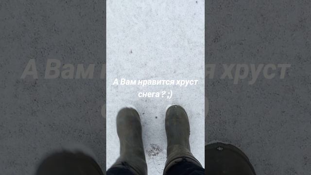 А Вам нравится хруст снега под ногами? ;) #природа #красотаприроды #снег #первыйснег #первыйснег2024 смотреть онлайн