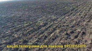 провиска для заказчика/обзор