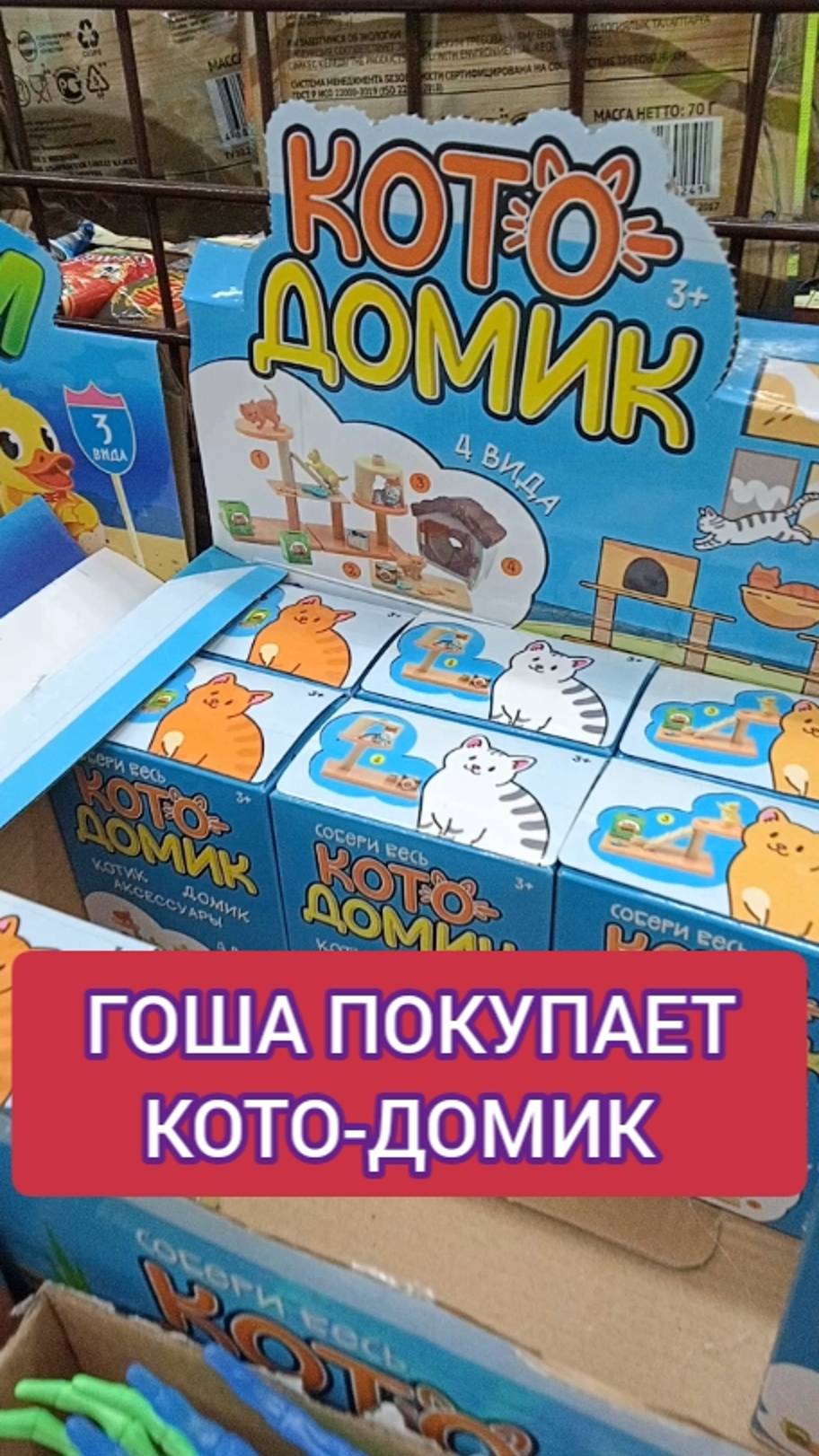 ГОША ПОКУПАЕТ КОТО-ДОМИК смотреть онлайн