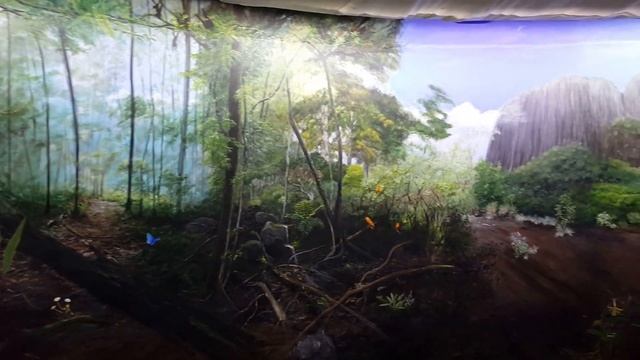 Beautifull tropical painting at Butterfly park in Surinam смотреть онлайн