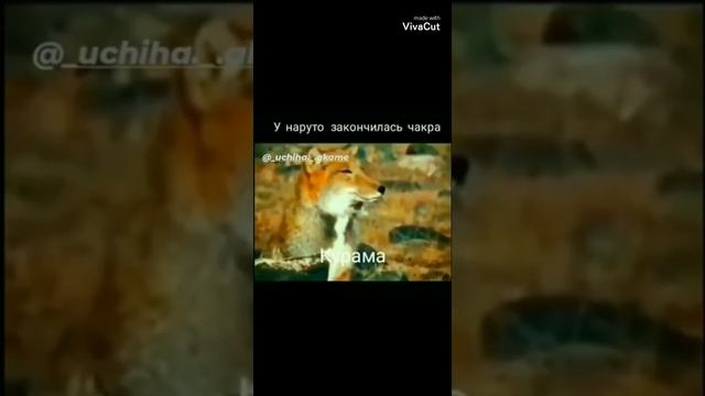 Курама когда у Наруто закончилась чакра смотреть онлайн