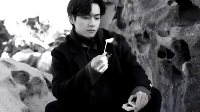 BTS - Photosession Mood Winter Package - Army