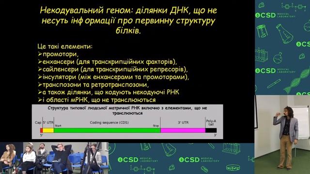 Етіологія та патогенез раку шлунково кишкового тракту 2 частина смотреть онлайн