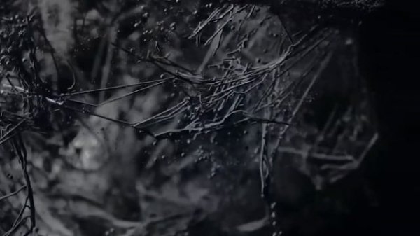 Человечество создаст БОГА из Искусственного Интеллекта?