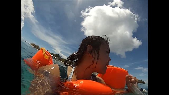 Pamilacan Island Snorkeling