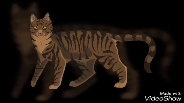 Папа псих(КОТЫ ВОИТЕЛИ) Звездоцап смотреть онлайн