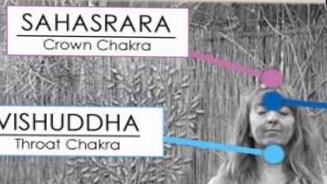 Chakras For Beginners, Unblocking Chakras  & 7 Chakras Incense Review