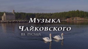 Музыка Чайковского: лебединый танец на гуслях – волшебство в каждом звуке