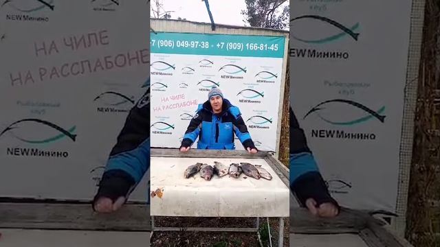 разговор с рыбаком смотреть онлайн