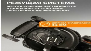 Газонокосилка сетевая WORX WG713E - краткий обзор