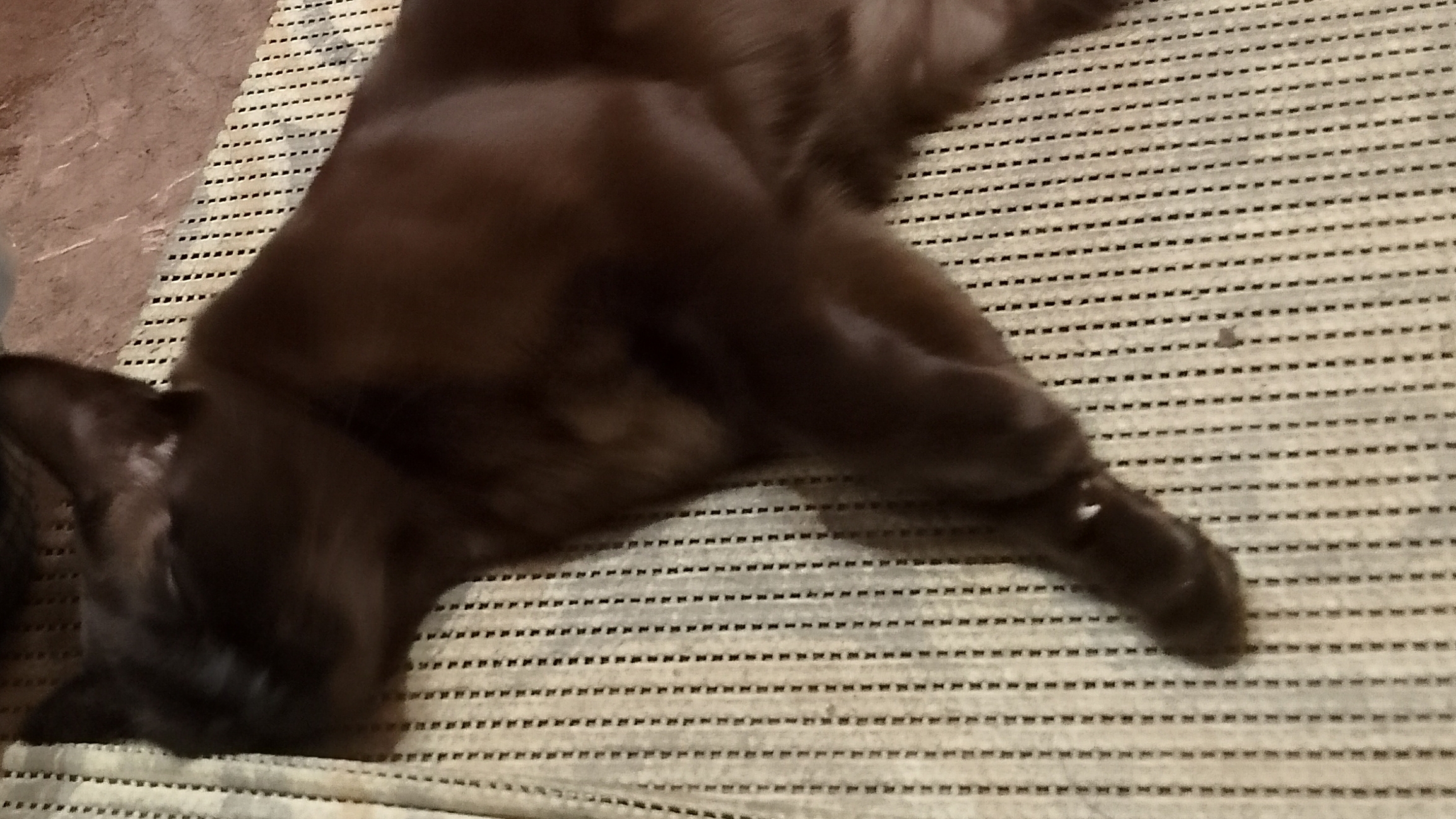 Помогите подписчики смотреть онлайн