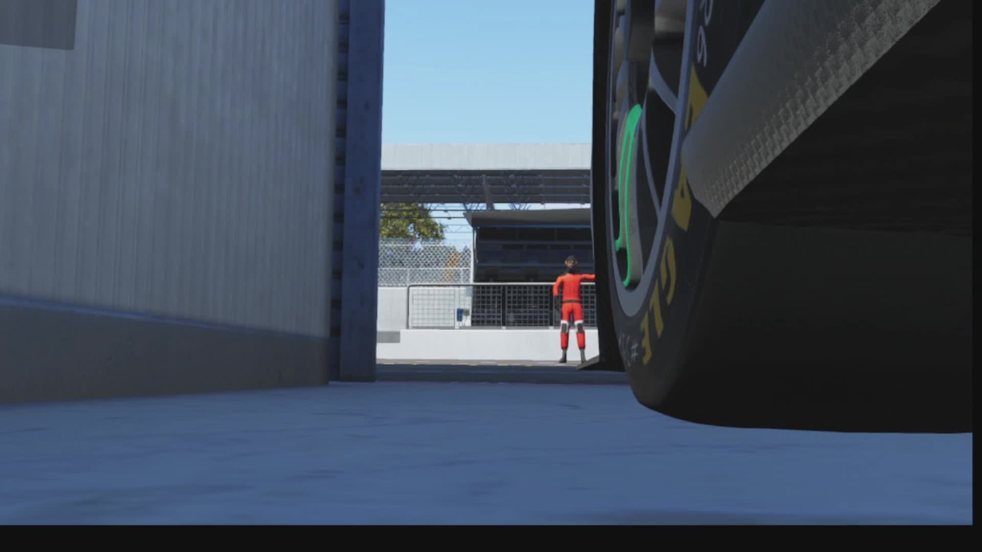 Шина здорового человека LMU