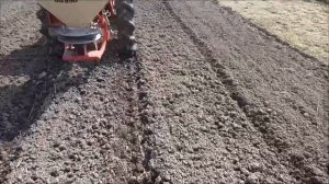 Сеем пшеницу разбрасывателем (РУМом)