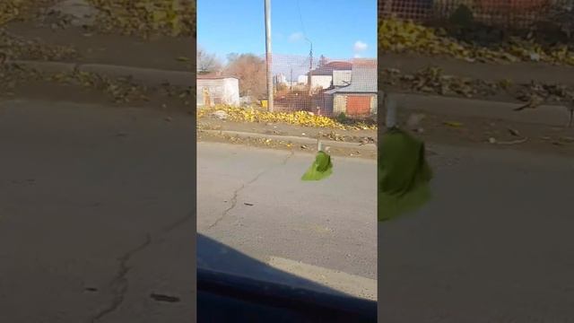 гнома збили😶😦😮😧 смотреть онлайн