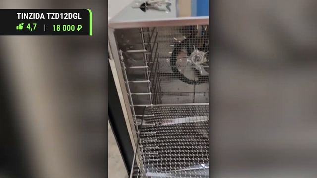 Экология - это наша общий дело